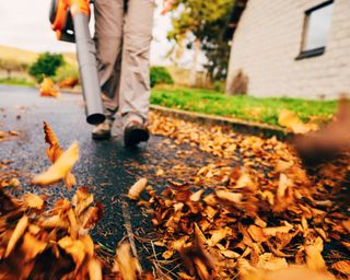 Woman using a leaf blower in the autumn to clear her driveway