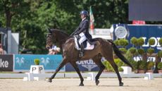British rider Emma Thomas pictured at Luhm&uuml;hlen Horse Trials with her horse The Buzz Factor