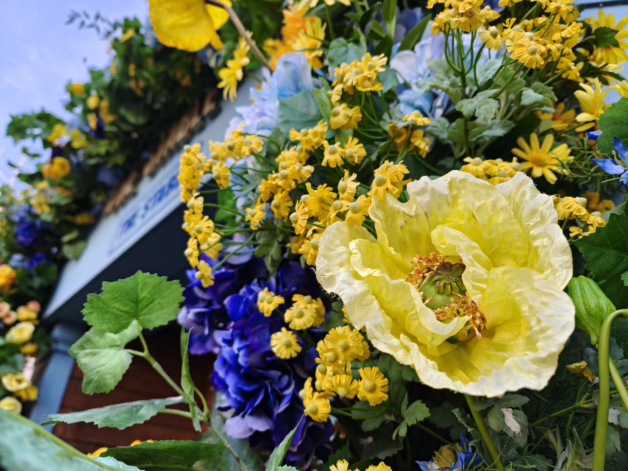 Oppo Find X8 Pro sample image