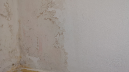 Water damage on wall