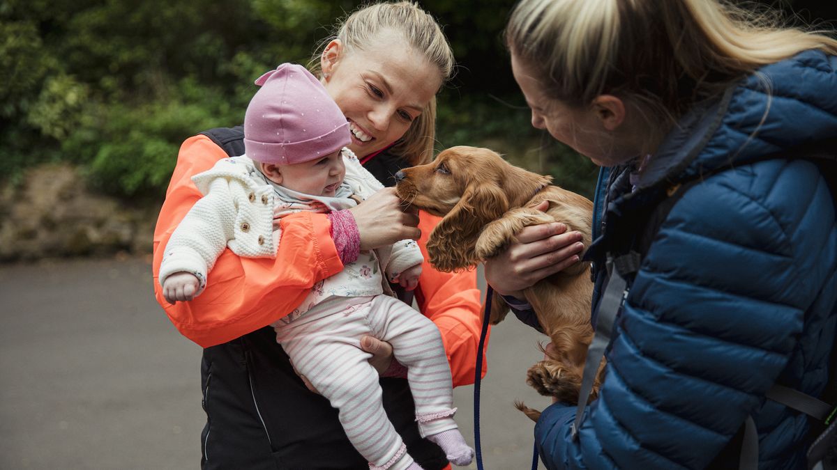 32 facts about puppies | PetsRadar