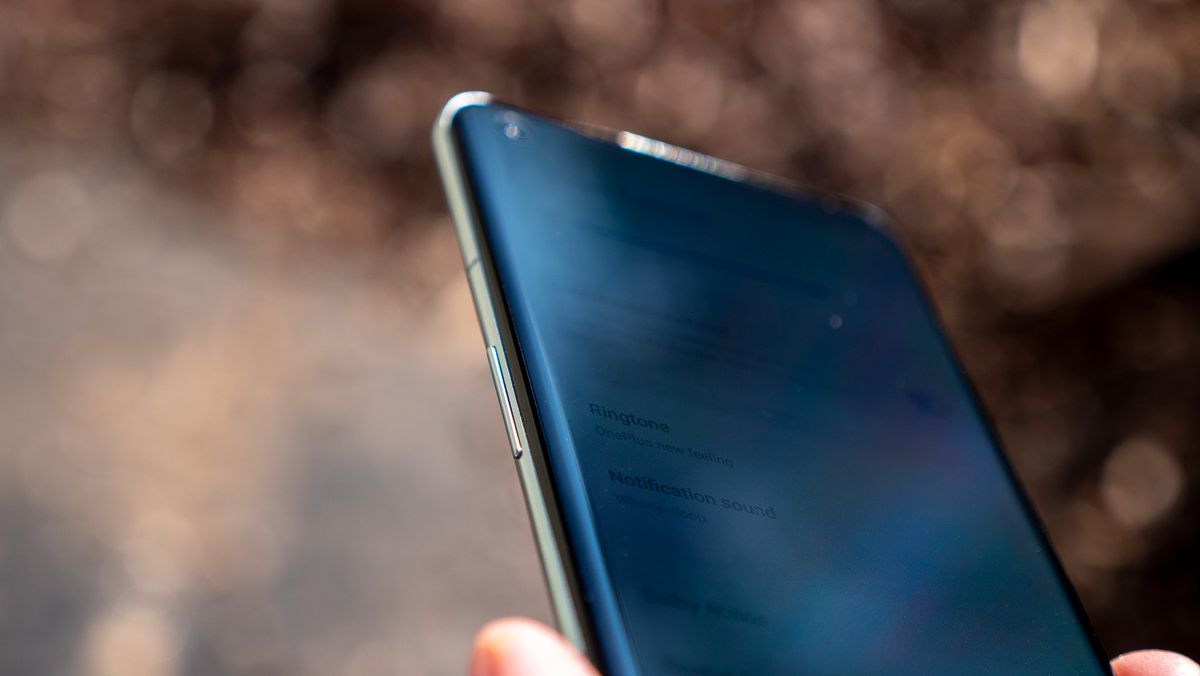 The curved display on the OnePlus 11 Arbor Green colorway