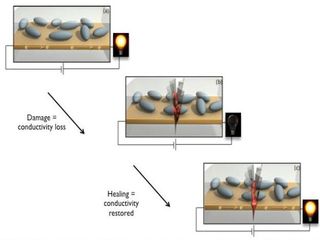 Self-Healing Electronics