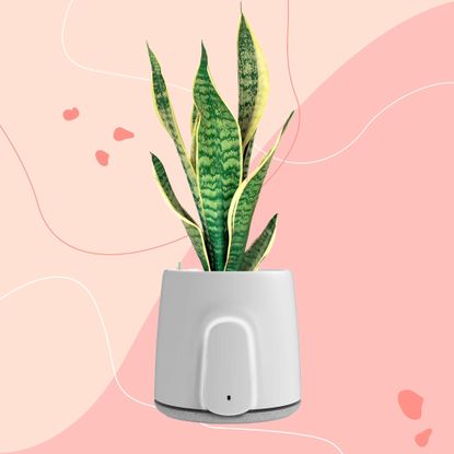 Vitesy Natede Smart air purifier on a pink background