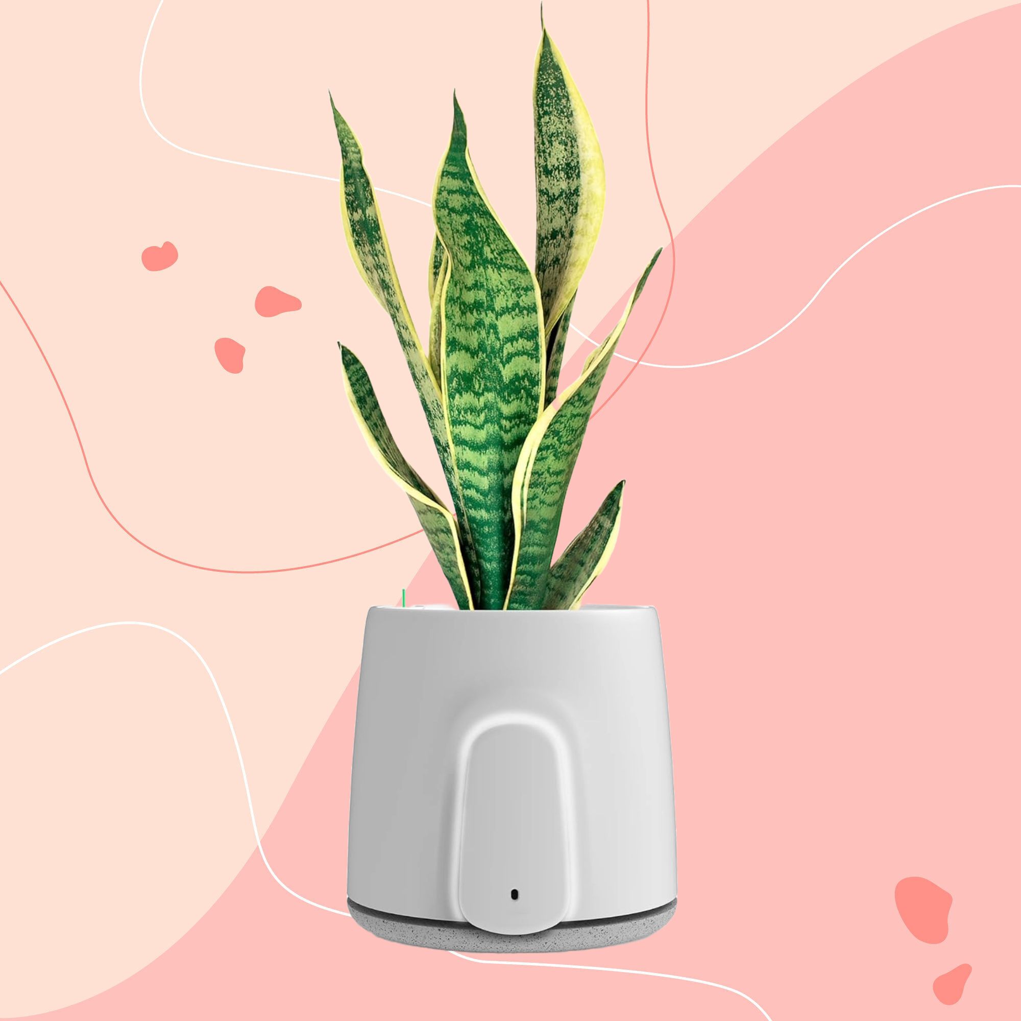 Vitesy Natede Smart air purifier on a pink background