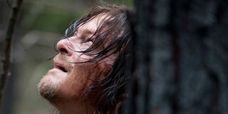 daryl the walking dead