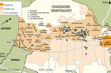 Chassagne-Montrachet, Burgundy.