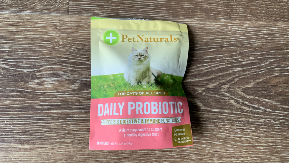 I tried some probiotics for cats – here’s what happened | PetsRadar