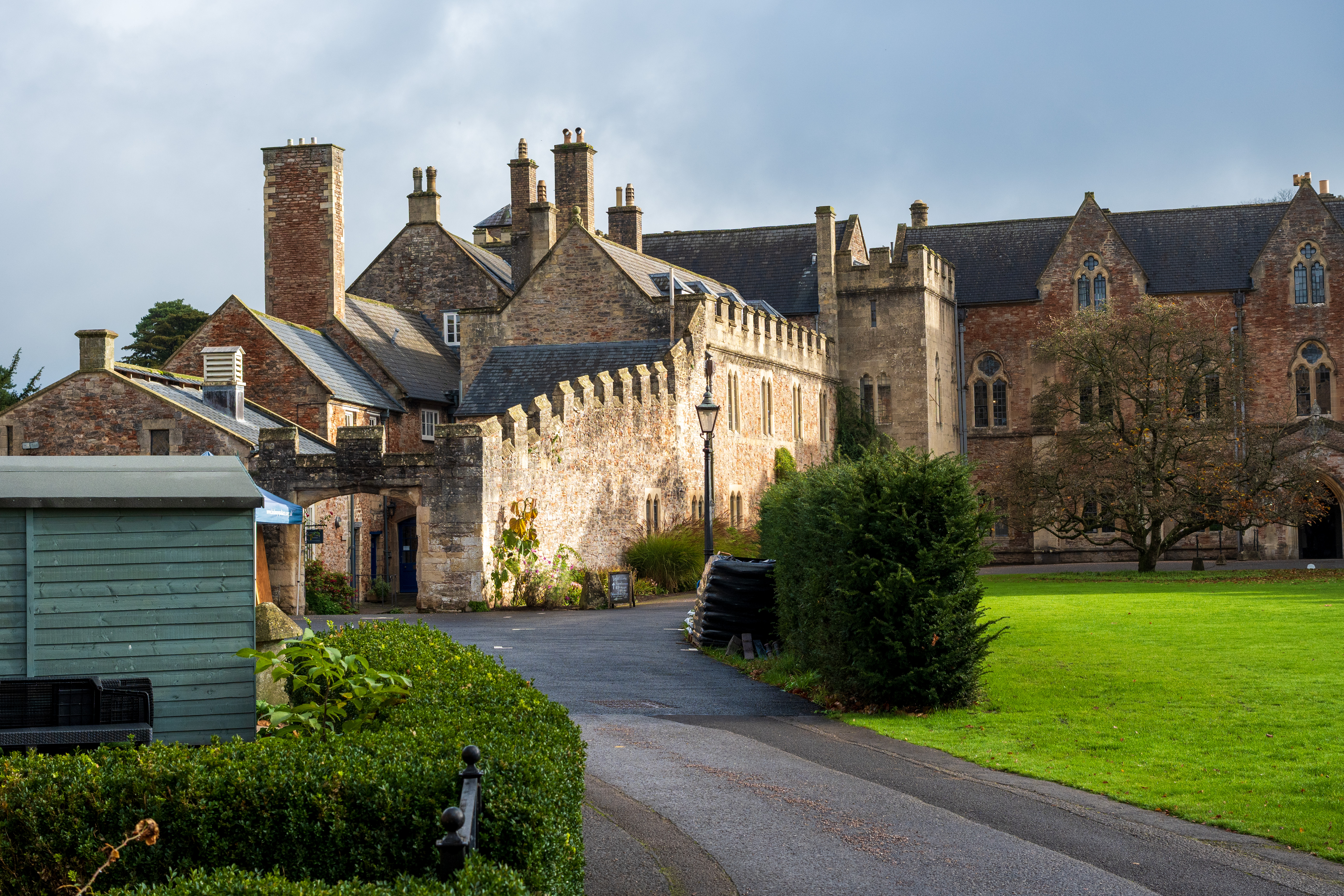 Nikon Z DX MC 35mm f/1.7 example shot