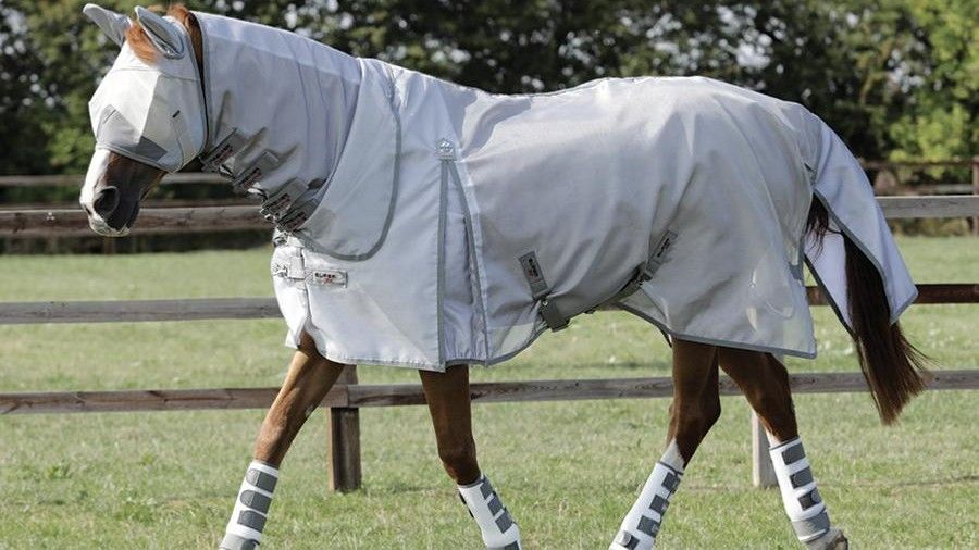 Best fly rugs for horses Six options for your horse PetsRadar