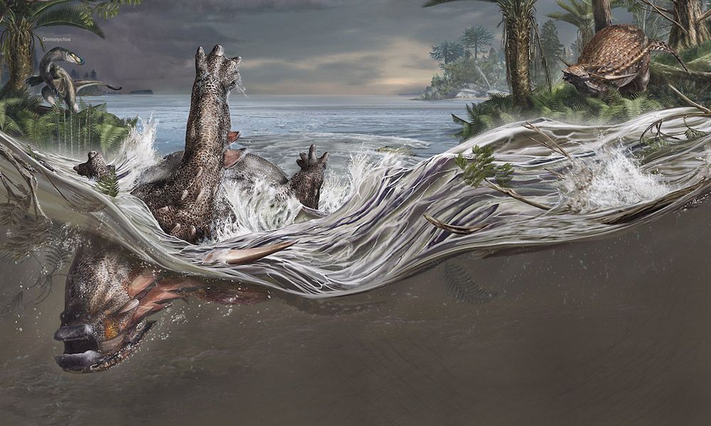 When the nodosaur &lt;em&gt;Borealopelta markmitchelli&lt;/em&gt; died 110 million years ago, it was swept out to sea, out of the reach of predators.