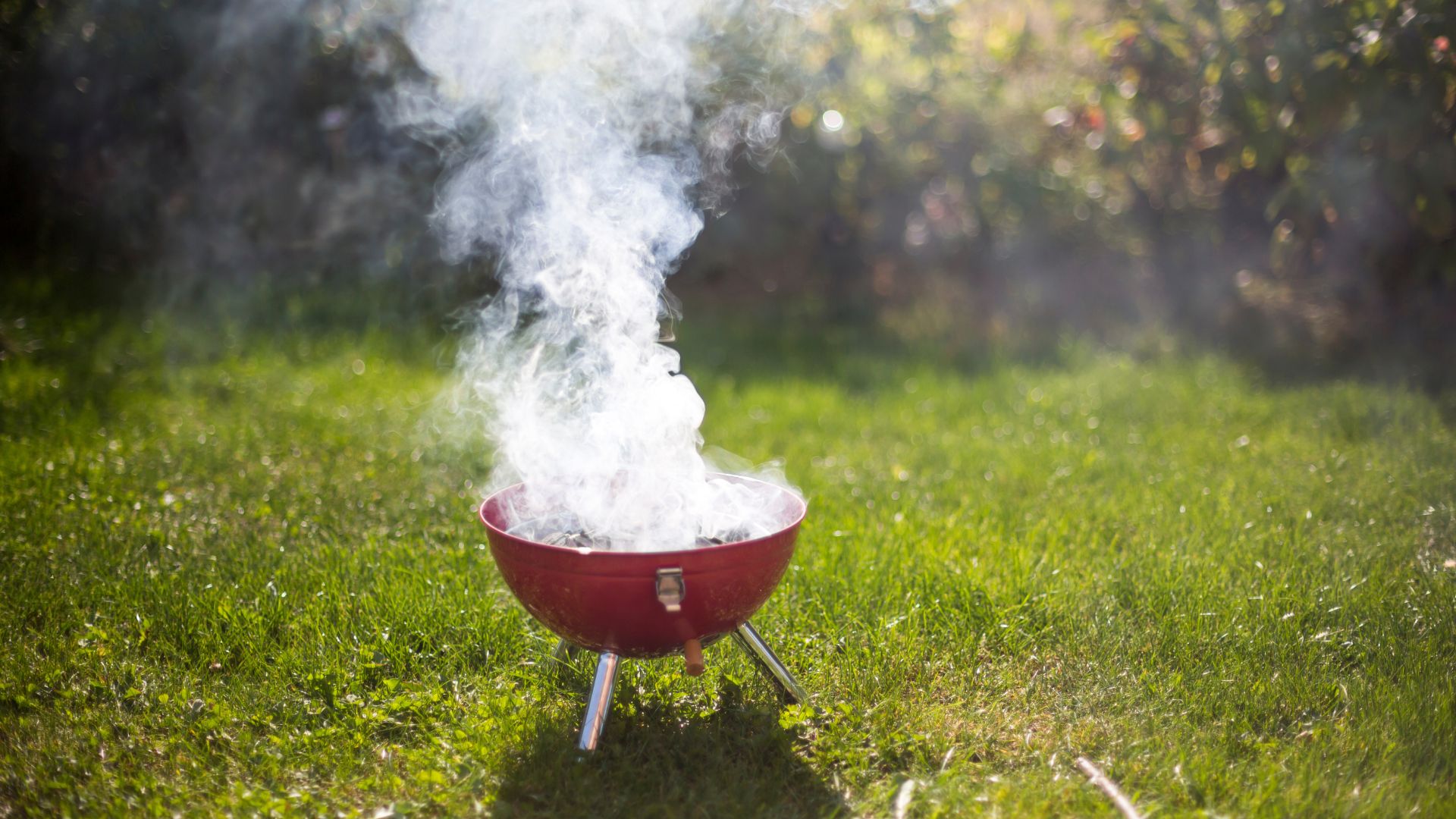 picture of smoking BBQ in garden
