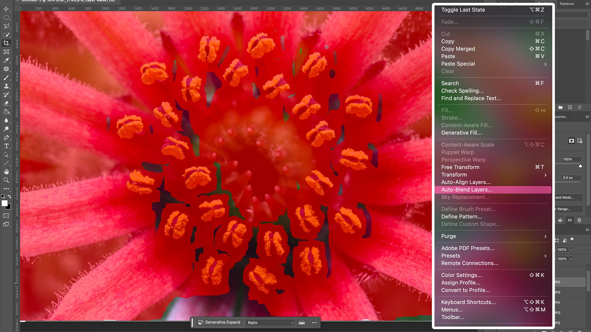 Adobe Photoshop screenshot of macro image of flowerhead with red mask overlay applied