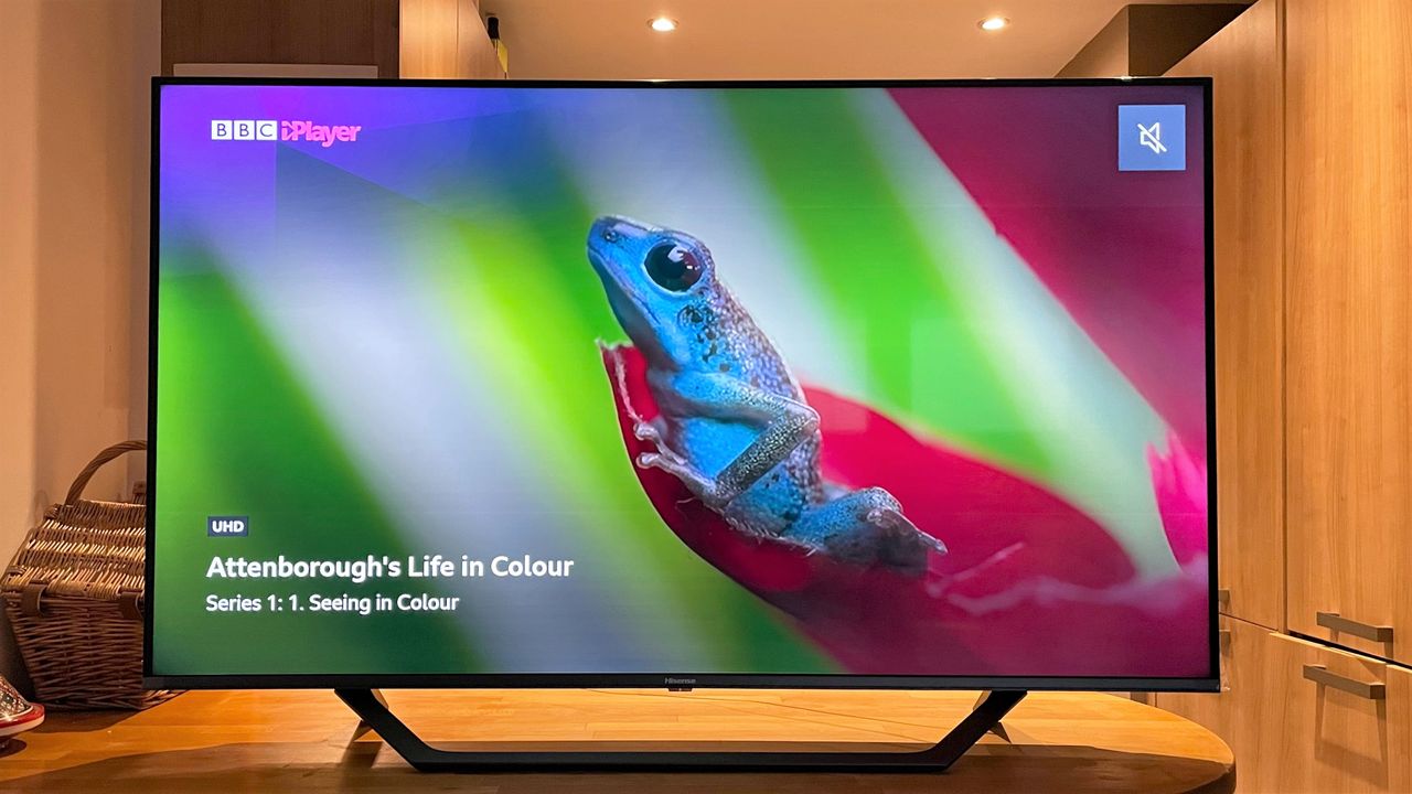 Hisense A7G review - TV on a wooden table with a frog on the screen