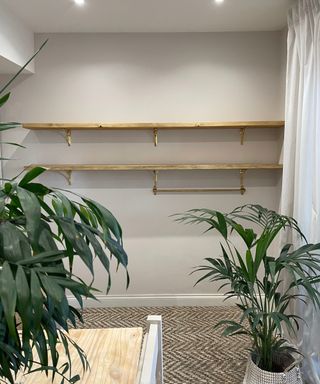 empty shelving unit in a dining room with houseplants