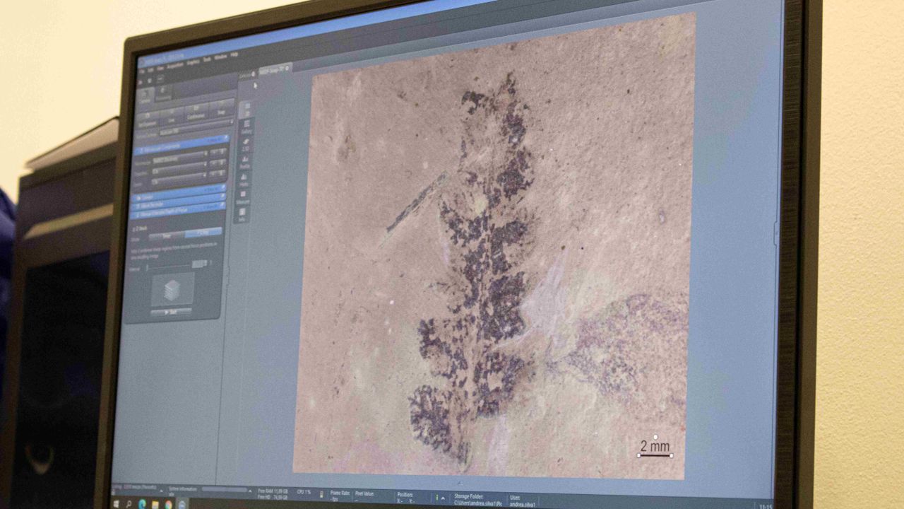 Researchers analyze a sample