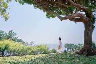 JW Marriot Jeju person walking in garden