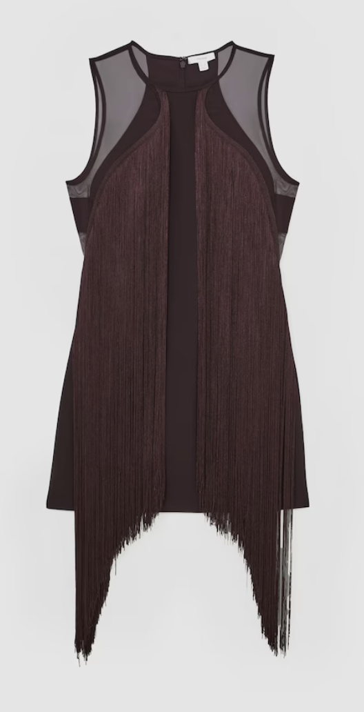 Reiss, Fringe-Detail Sheer-Panel Mini Dress in Burgundy