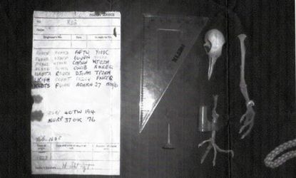 A man in England found the skeletal remains of a pigeon in his chimney, along with a mysterious, long-forgotten message from World War II attached to the bird's leg.