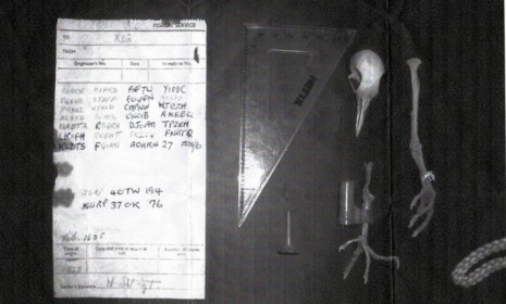 The Curious Case Of The Uncrackable World War II Code Found On A Dead ...