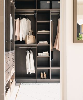 A small walk-in closet in the corner of a room, mixture of hanging and shelving space, rug