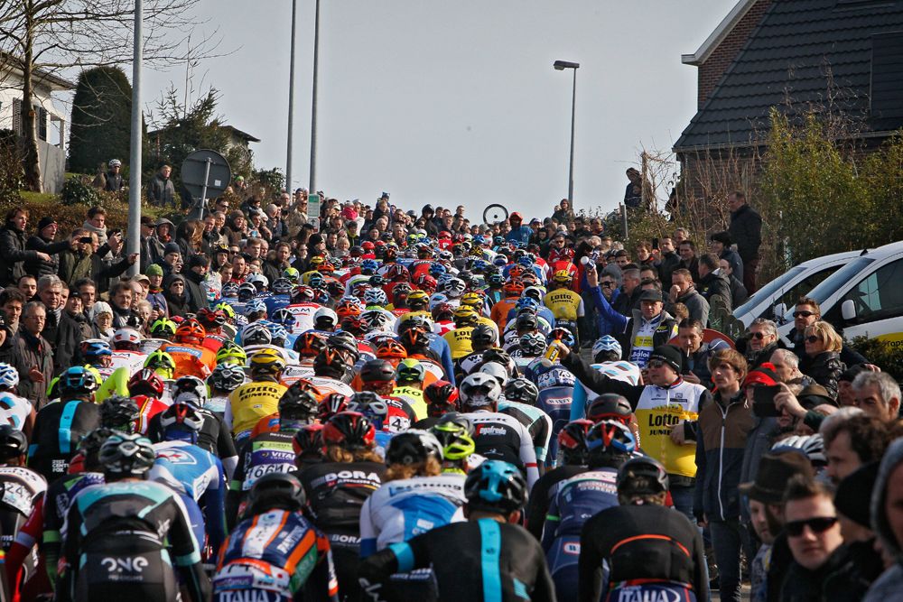 The peloton in Omloop Het Nieuwsblad