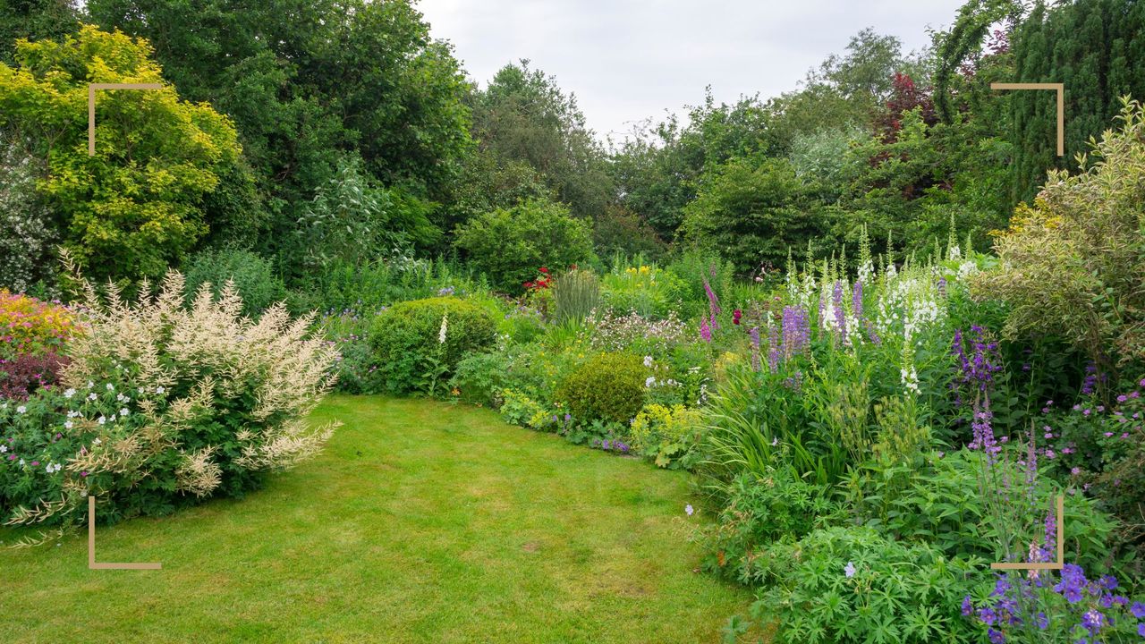 english country garden with a patchy lawn to show how to get rid of clover in a lawn