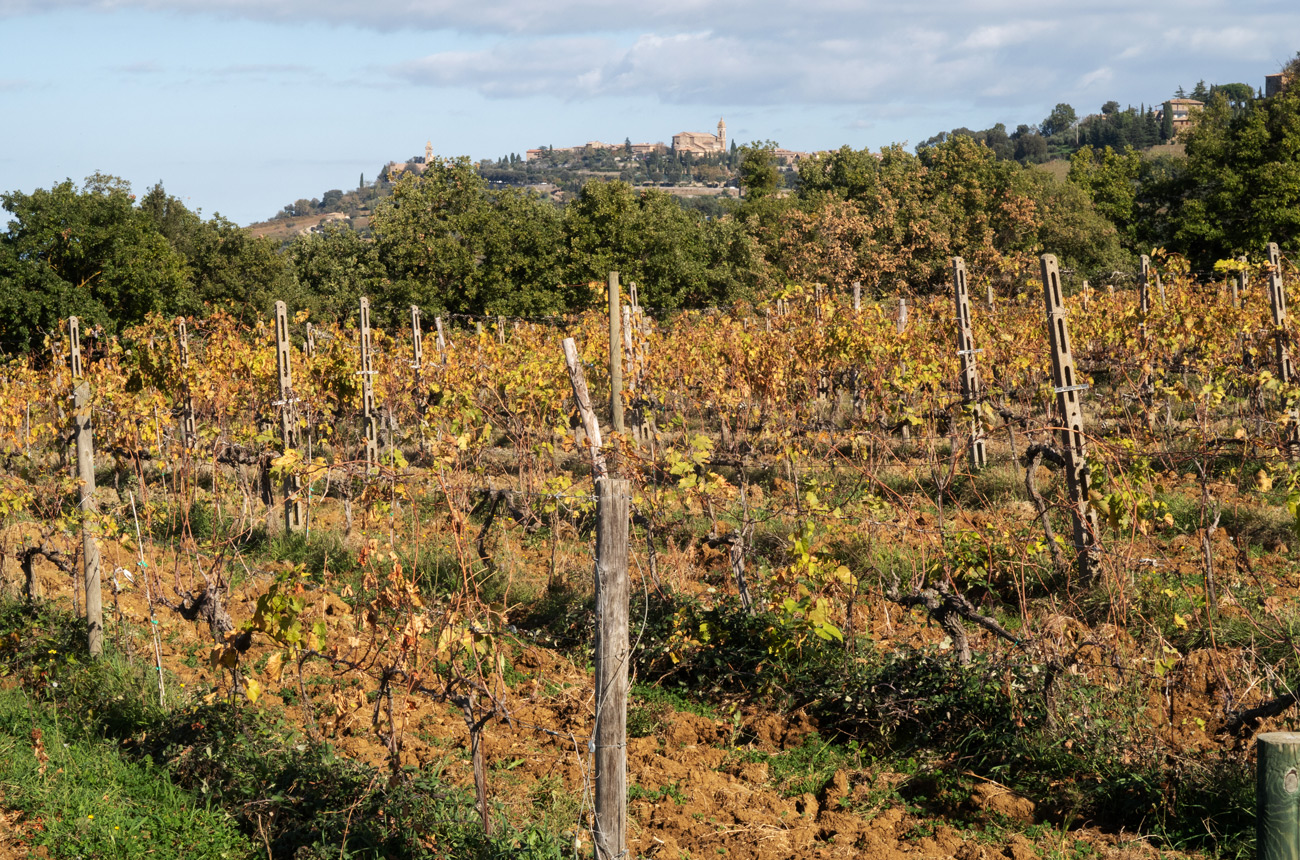 Le-Potazzine-looking-toward-Montalcino