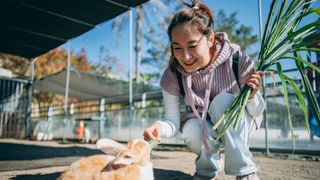 Woman rewards an orange rabbit