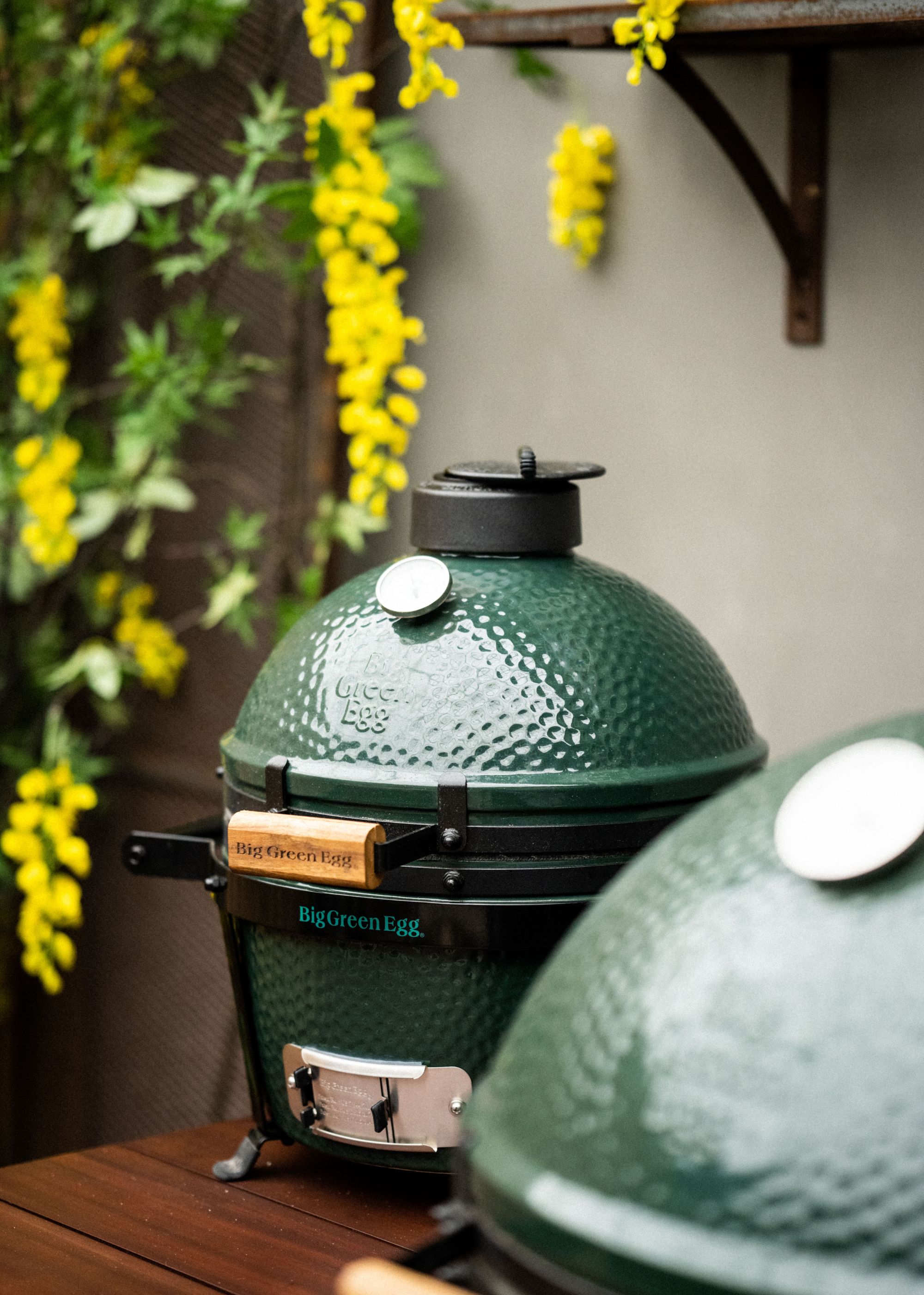 Two large big green eggs in a backyard next to hanging blooms