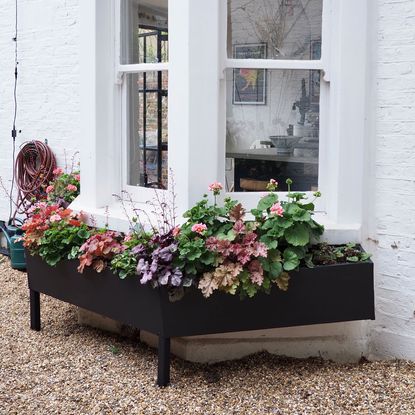 The famous window box that you're going to want to recreate at home ...