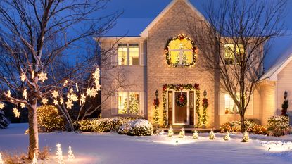 winter trees with lights