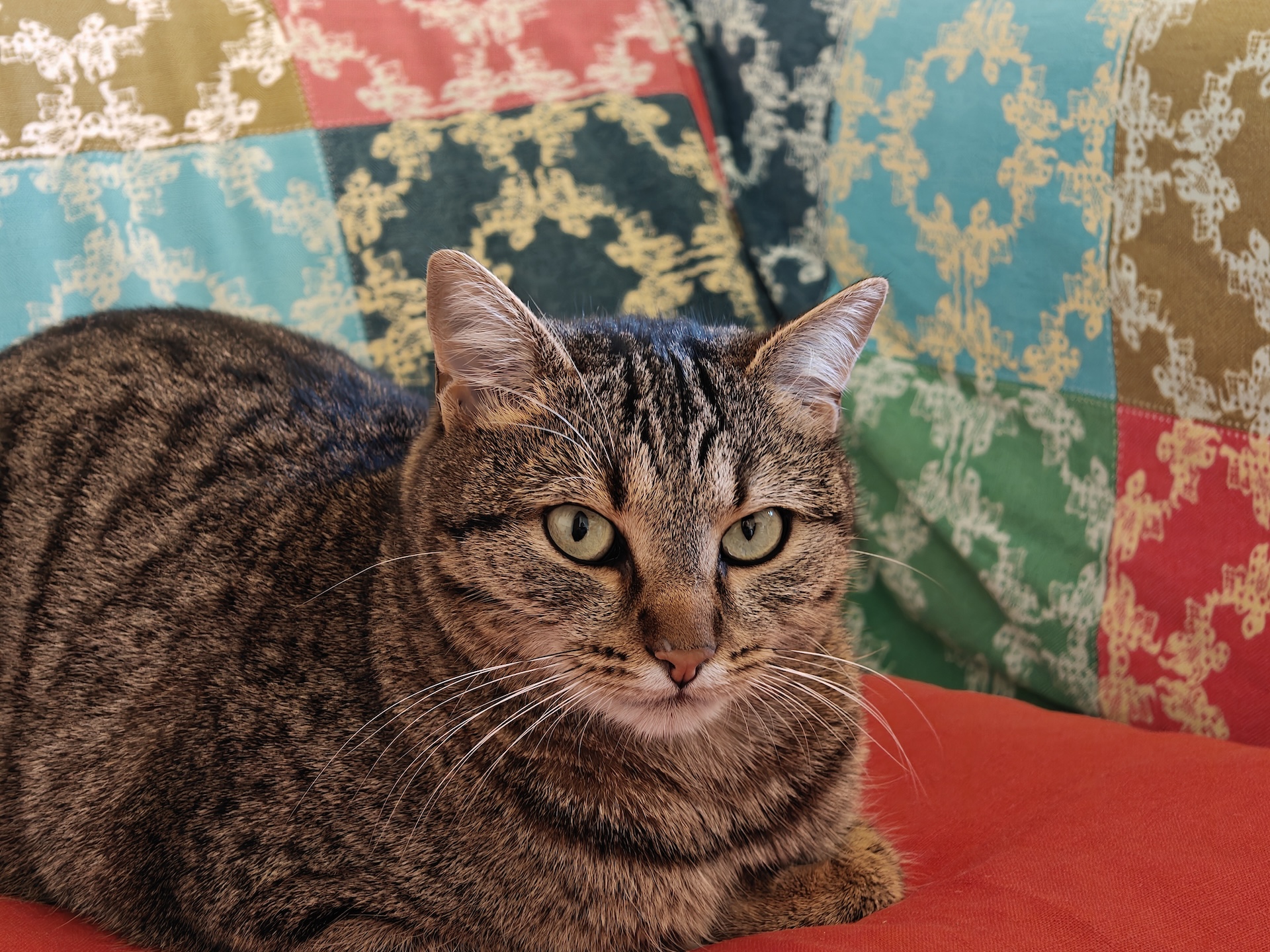 realme GT8 Dream Edition