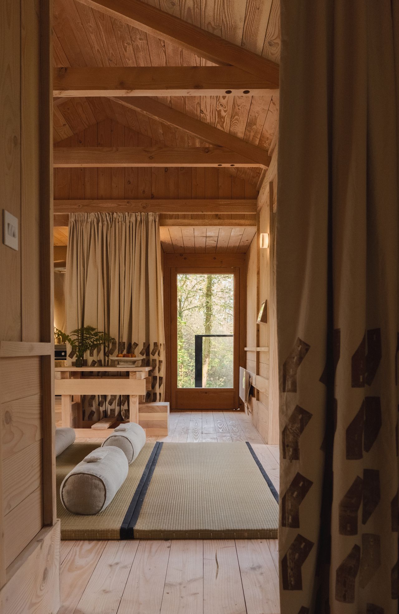 Rustic cabin in a bluebell woodland