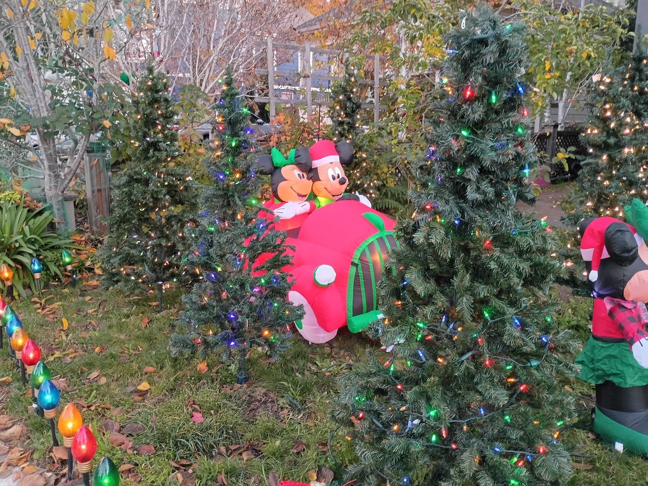 Christmas decorations in a forested outdoor space with an inflatable car with Minnie and Micky mouse driving between several short lit Christmas trees