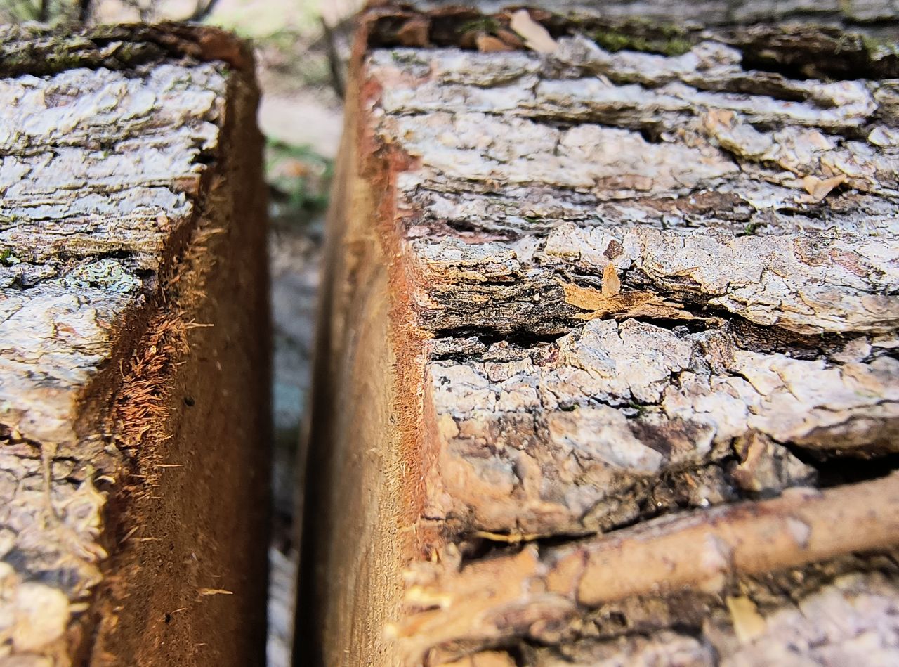 Image samples from Motorola Edge (2022) camera