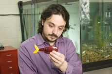 engineering, NSF, animal-inspiried robots