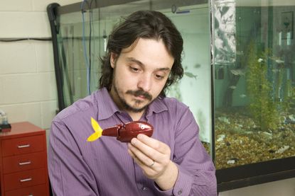 engineering, NSF, animal-inspiried robots