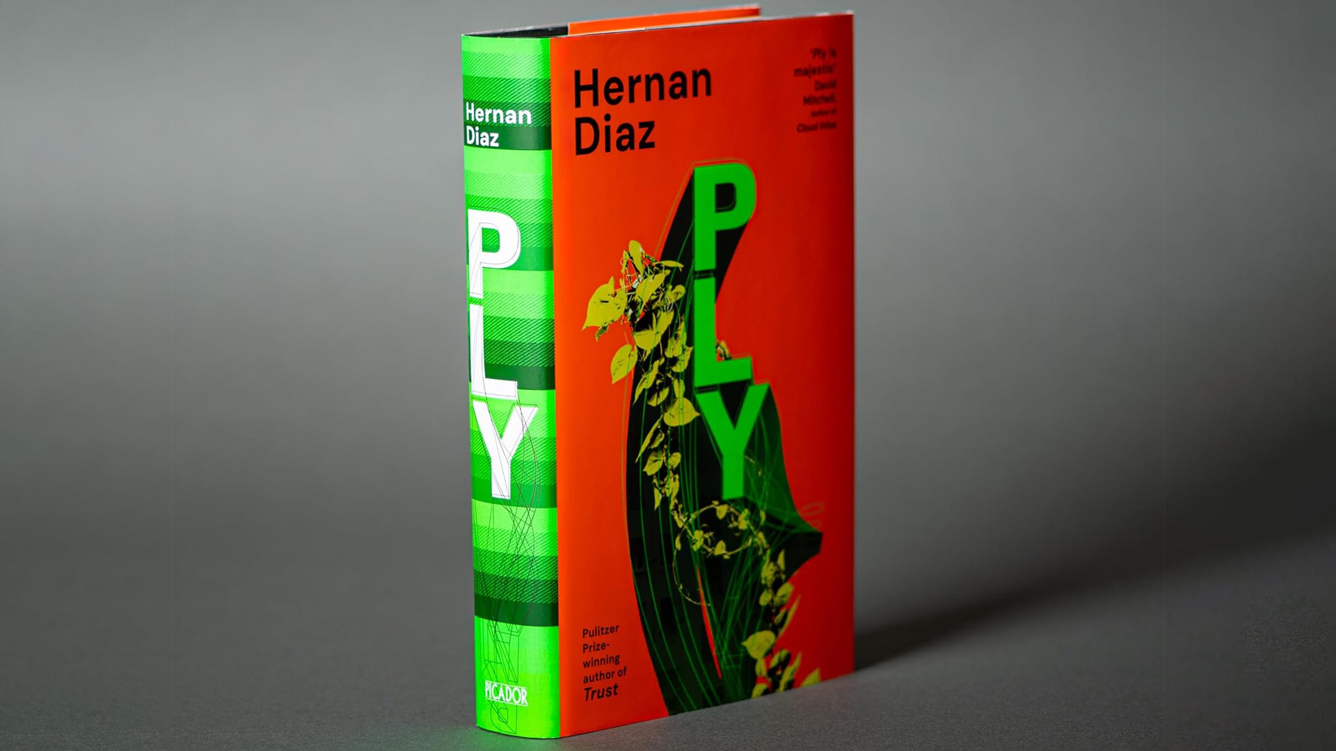 Hernan Diaz Ply