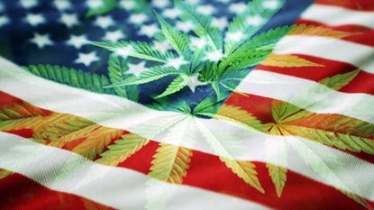 weed legalization gains ground in midterms, american flag with marijuana leaf