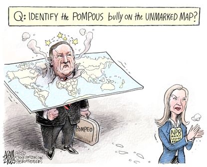 Political Cartoon U.S. Mike Pompeo Mary Louise Kelly NPR journalism interview maps bully