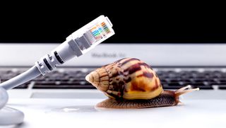 A snail on a laptop next to network cable