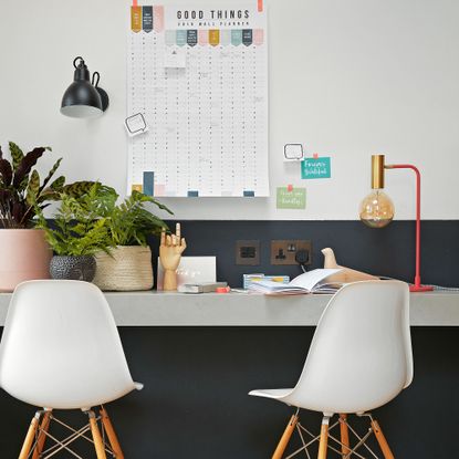 home office with navy and white wall, white chairs and houseplants