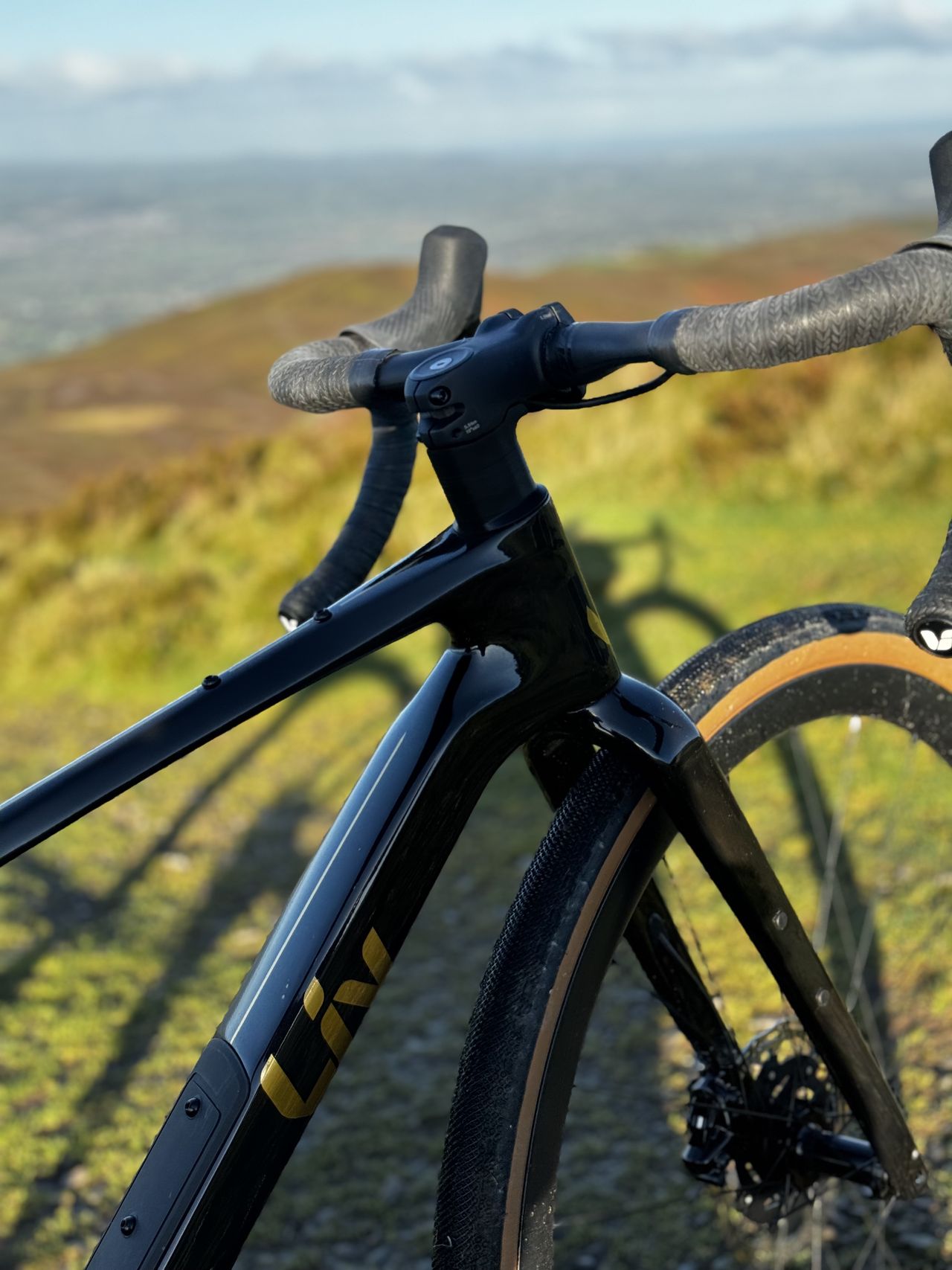Liv Devote's logo on the down tube in front of a grassy plain in the sunlight.