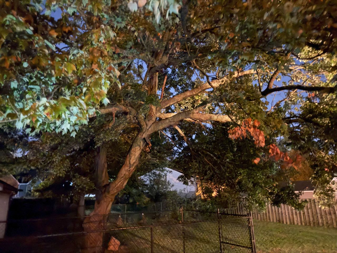 Apple iPhone 17 Pro Max low light sample.