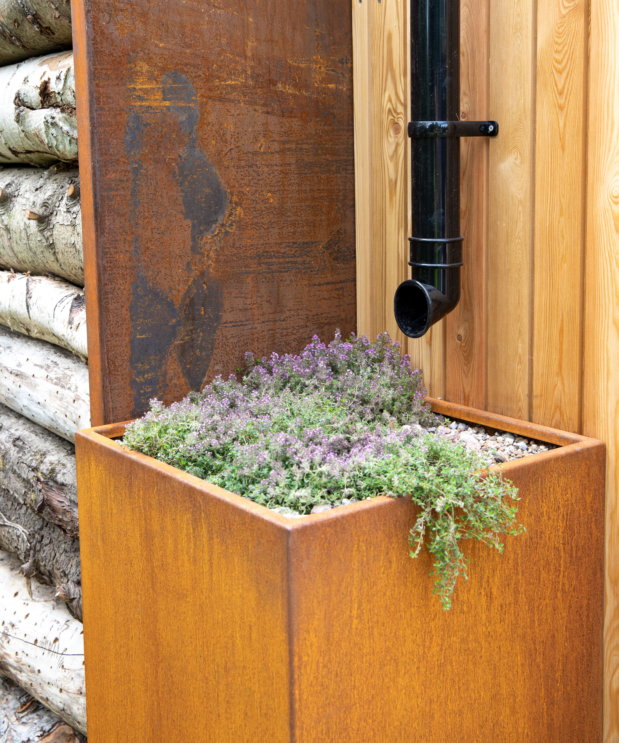 raised bed with resilient planting and gravel, with drainpipe feeding in to it