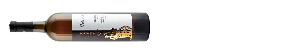 Vivoda, St Euphemia Malvazija Istarska, Istria 2018