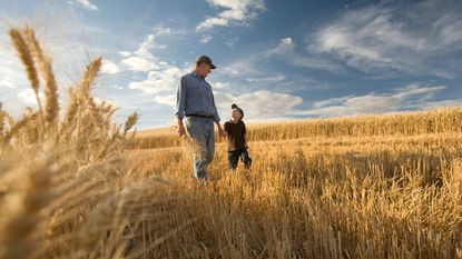 A farmer and his son walk through a wheat field.