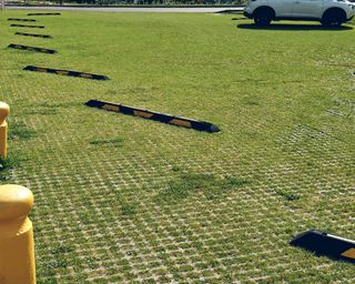 Ecological parking for cars on reinforced grass