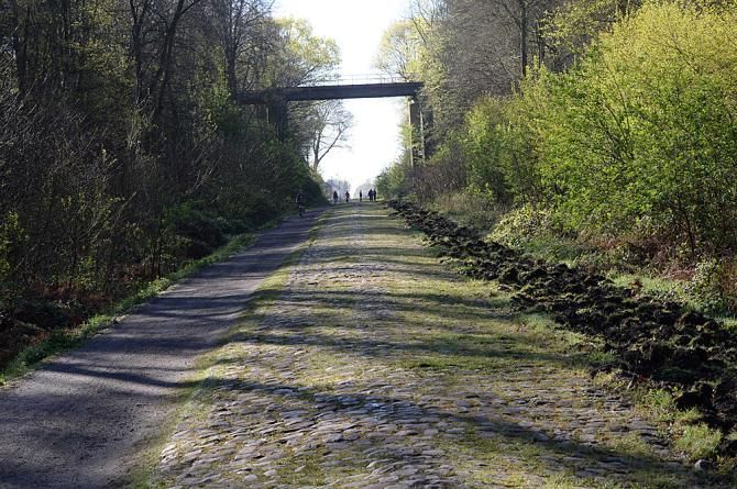 The cobbles of the Arenberg forest were recently "cleaned"